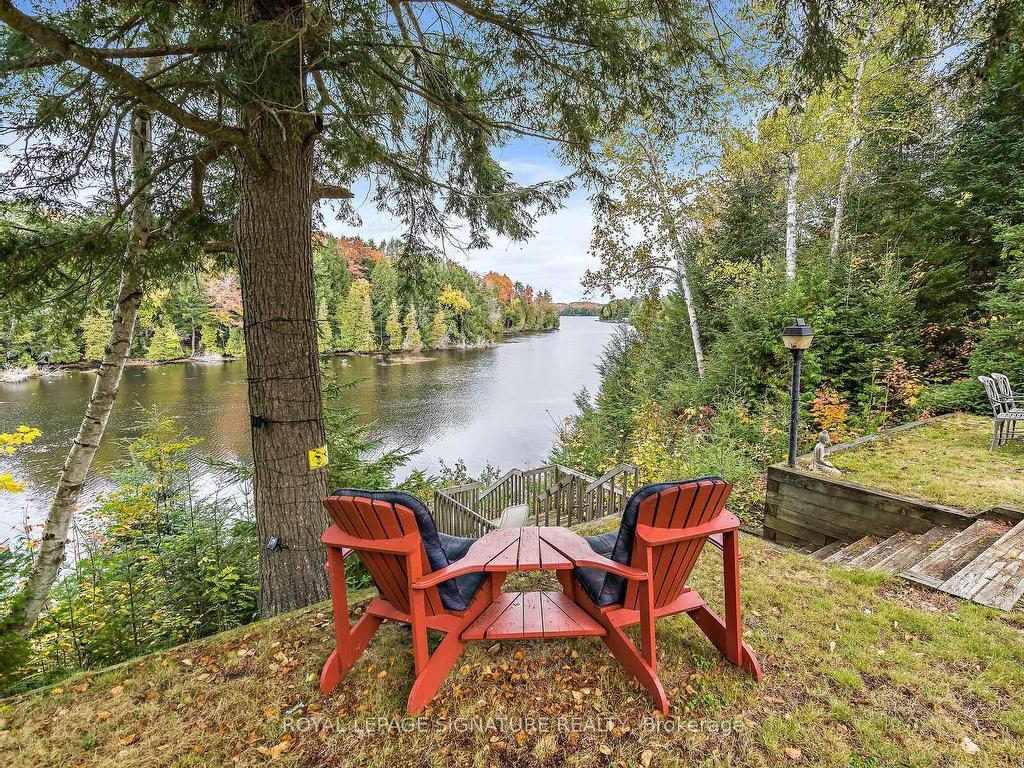 









1047


Lagoon

Road,
Highlands East,




ON
K0L 1C0

