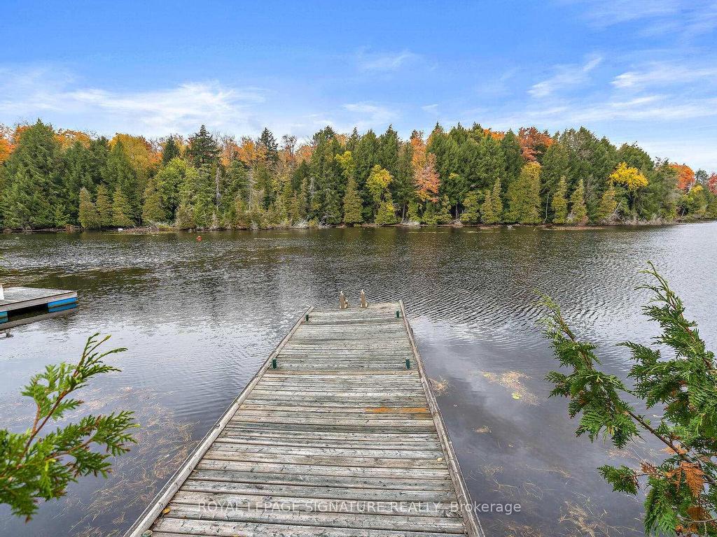 









1047


Lagoon

Road,
Highlands East,




ON
K0L 1C0

