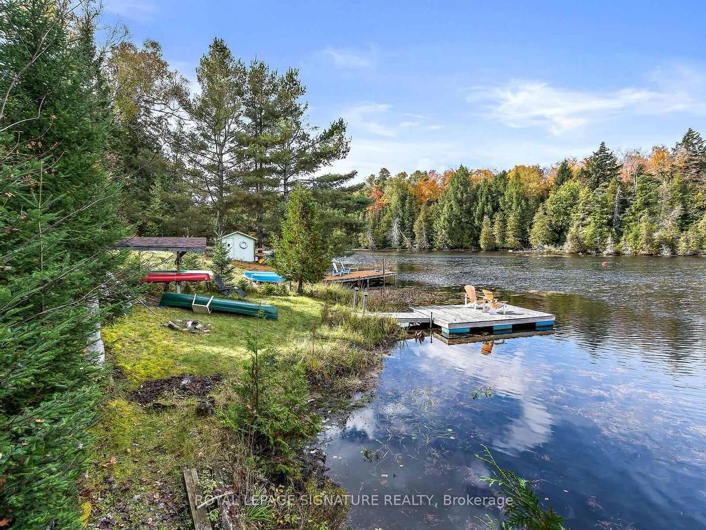 









1047


Lagoon

Road,
Highlands East,




ON
K0L 1C0

