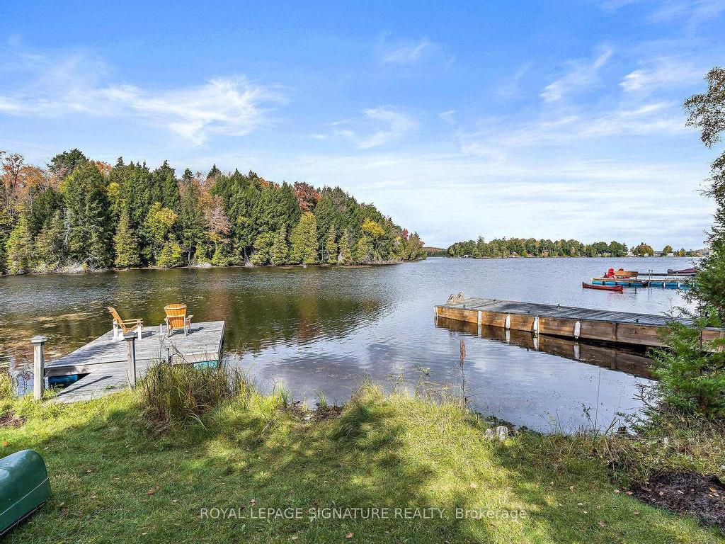 









1047


Lagoon

Road,
Highlands East,




ON
K0L 1C0


