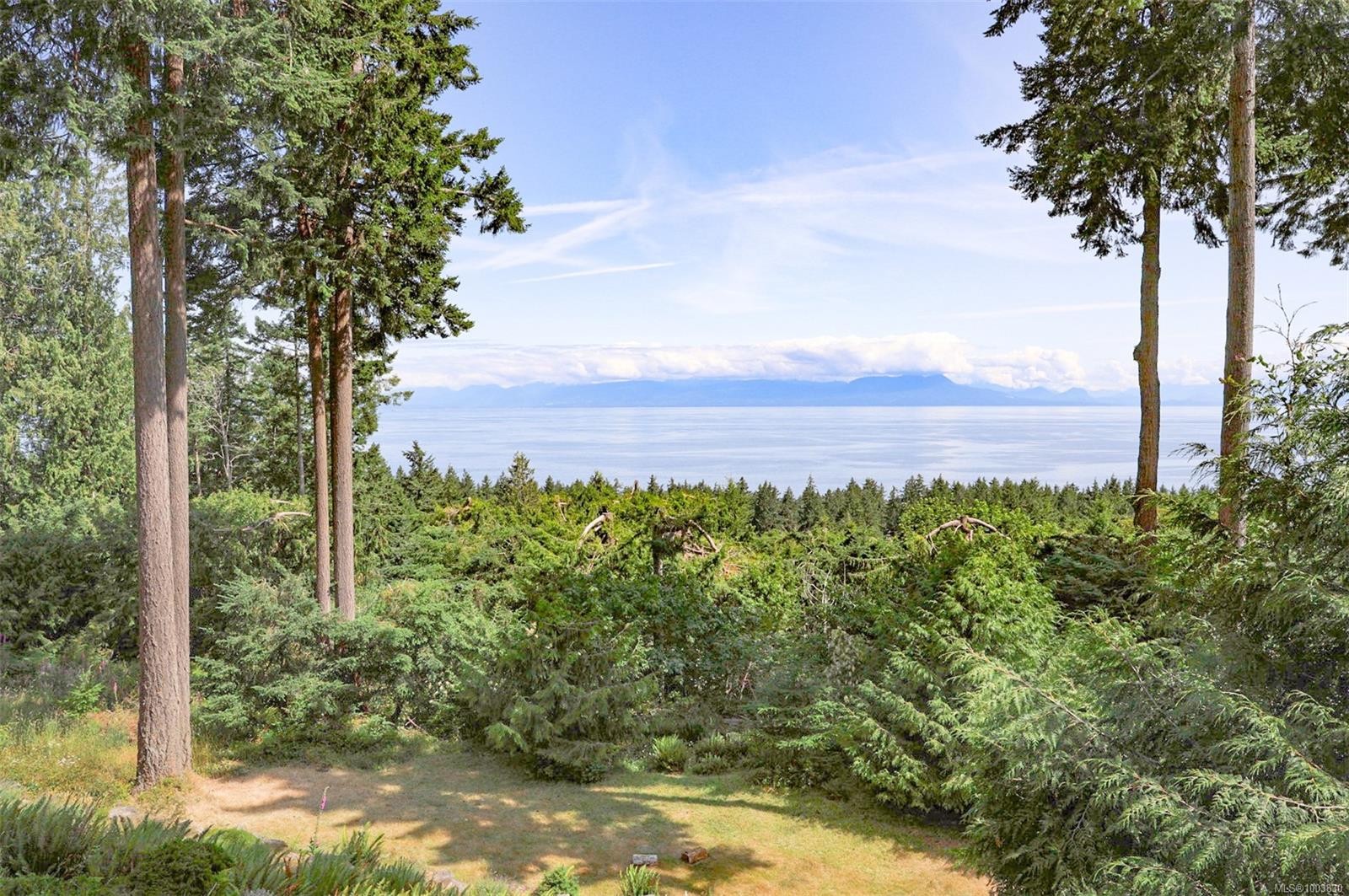 









1438


Wild Cherry

Terr,
Gabriola Island,




BC
V0R 1X5

