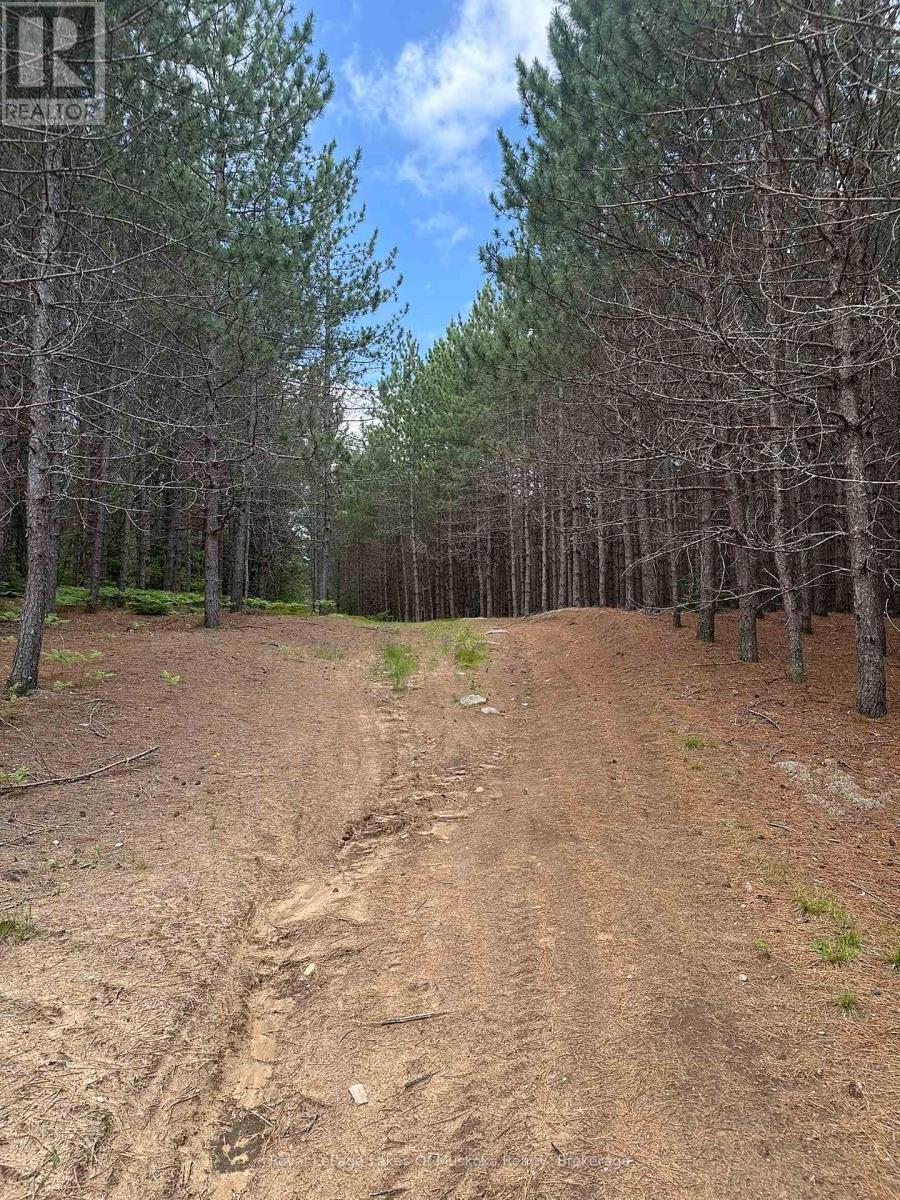












1958 518 HIGHWAY

,
McMurrich/Monteith (Sprucedale),




Ontario
P0A1Y0

