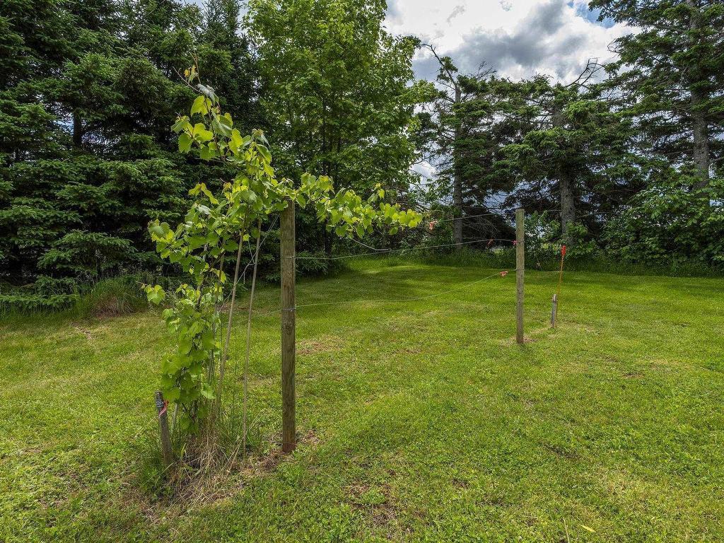 












1407 North Shore Rd

,
North Shore,




NS
B0K 1E0

