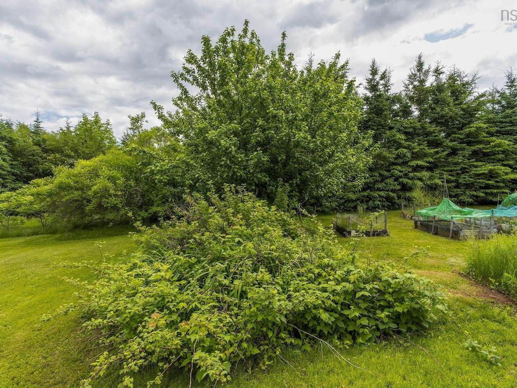 












1407 North Shore Rd

,
North Shore,




NS
B0K 1E0

