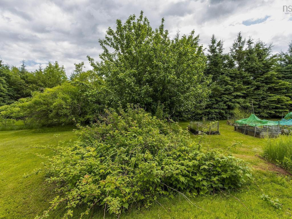 












1407 North Shore Rd

,
North Shore,




NS
B0K 1E0

