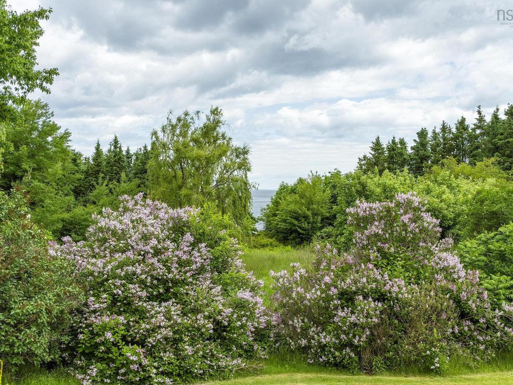 












1407 North Shore Rd

,
North Shore,




NS
B0K 1E0

