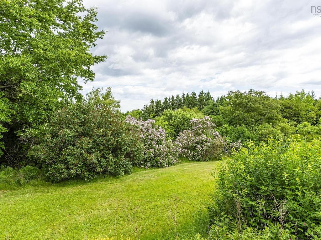 












1407 North Shore Rd

,
North Shore,




NS
B0K 1E0

