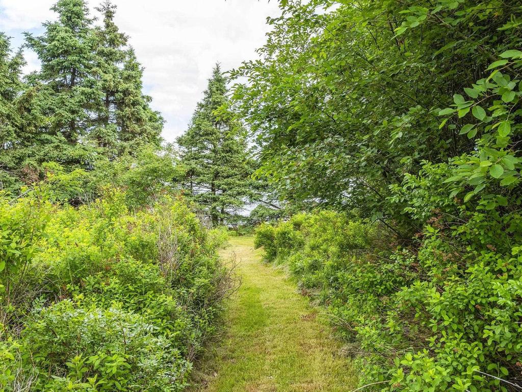 












1407 North Shore Rd

,
North Shore,




NS
B0K 1E0

