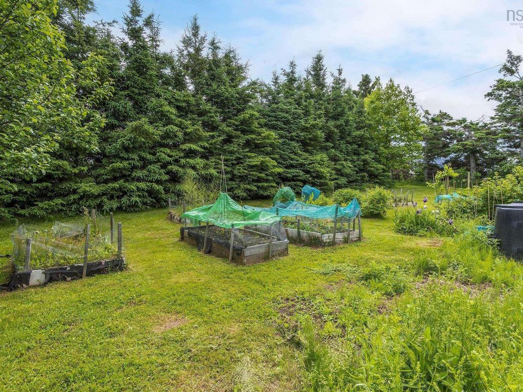 












1407 North Shore Rd

,
North Shore,




NS
B0K 1E0

