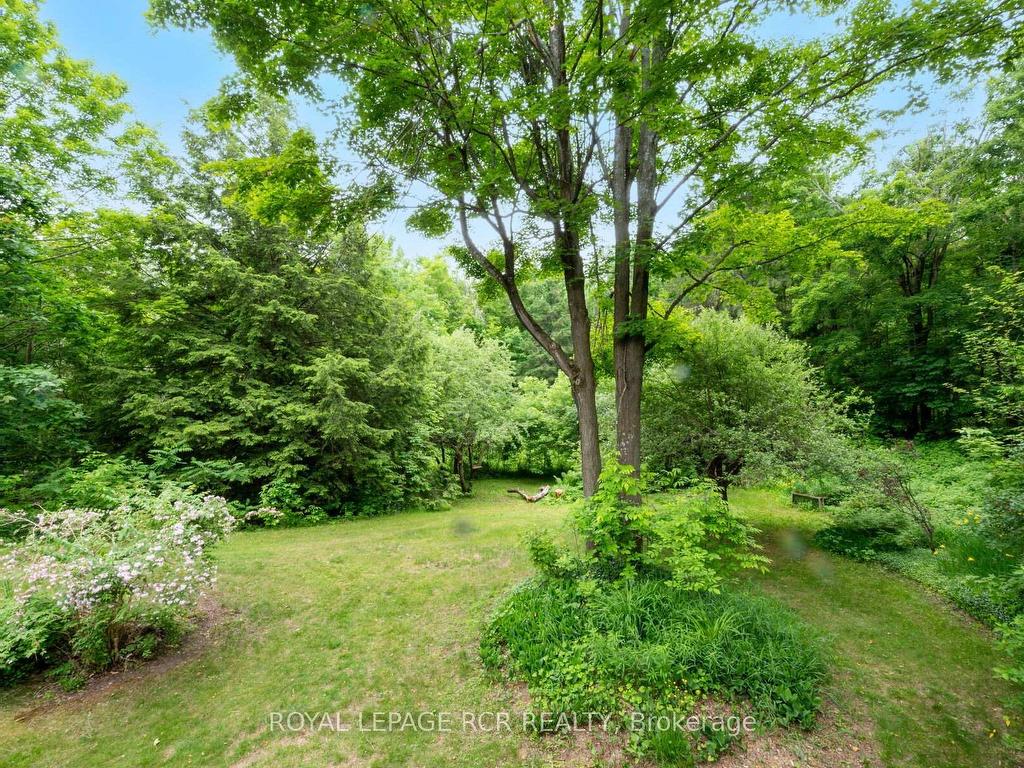 









757186


2nd

Line East,
Mulmur,




ON
L9V 0G7

