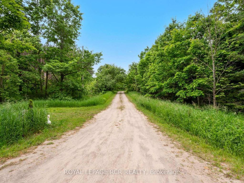 









757186


2nd

Line East,
Mulmur,




ON
L9V 0G7

