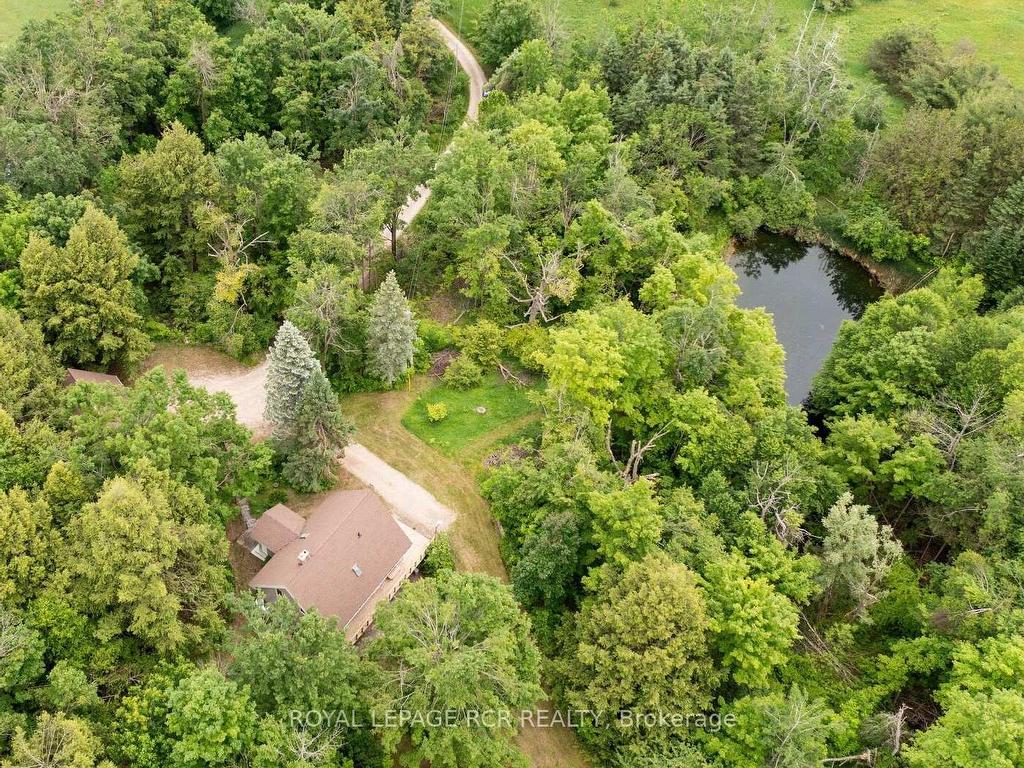 









757186


2nd

Line East,
Mulmur,




ON
L9V 0G7

