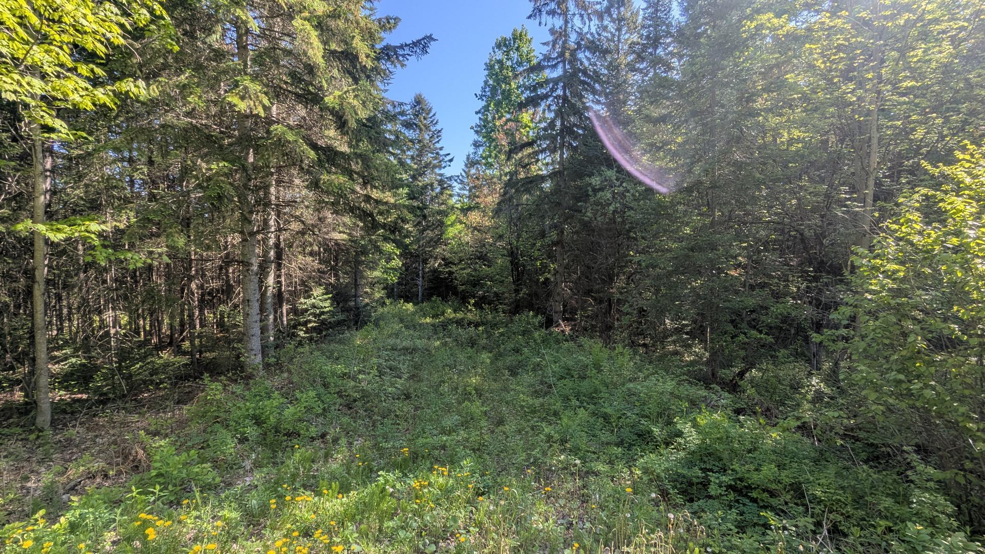 












Ch. du Lac-Mondor

,
Saint-Jean-de-Matha,







QC
J0K2S0

