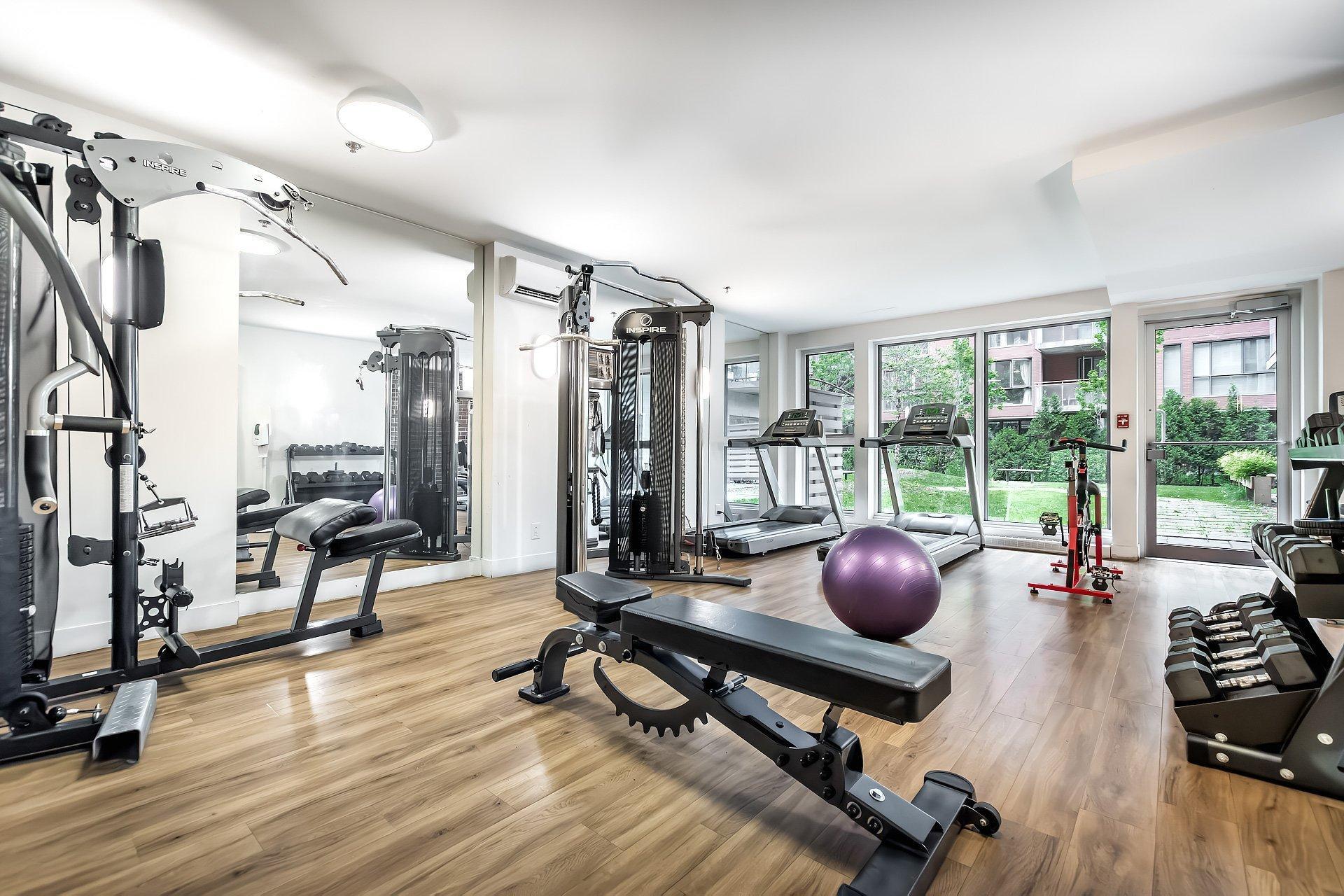 









2335


Ch. Manella

, 211,
Mont-Royal,




QC
H4P0B3

