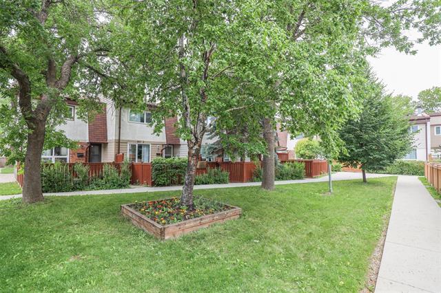 









953


Summerside

AVE, 4,
Winnipeg,




MB
R3T 4Y1

