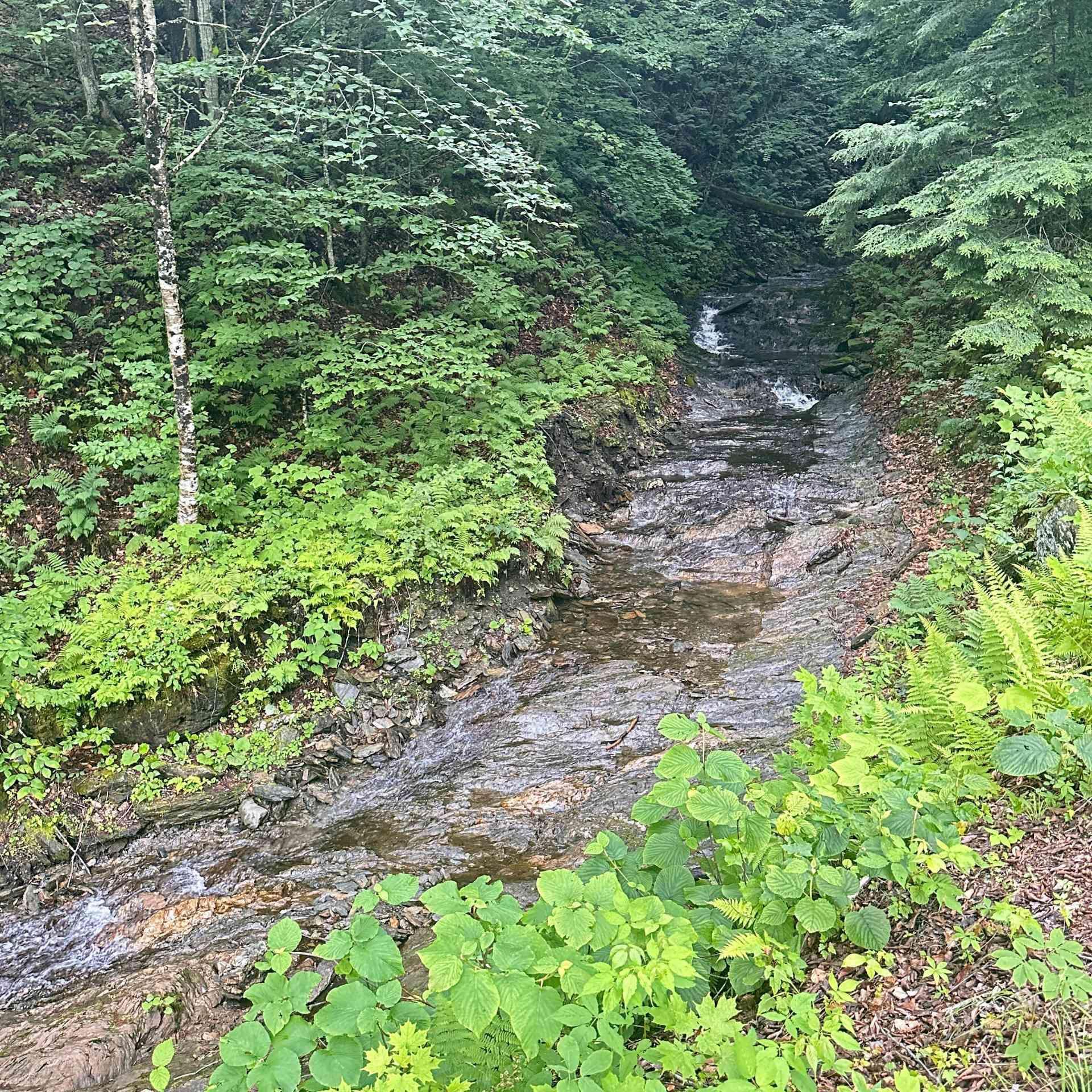 









639A


Route de Mansonville

,
Potton,




QC
J0E1X0

