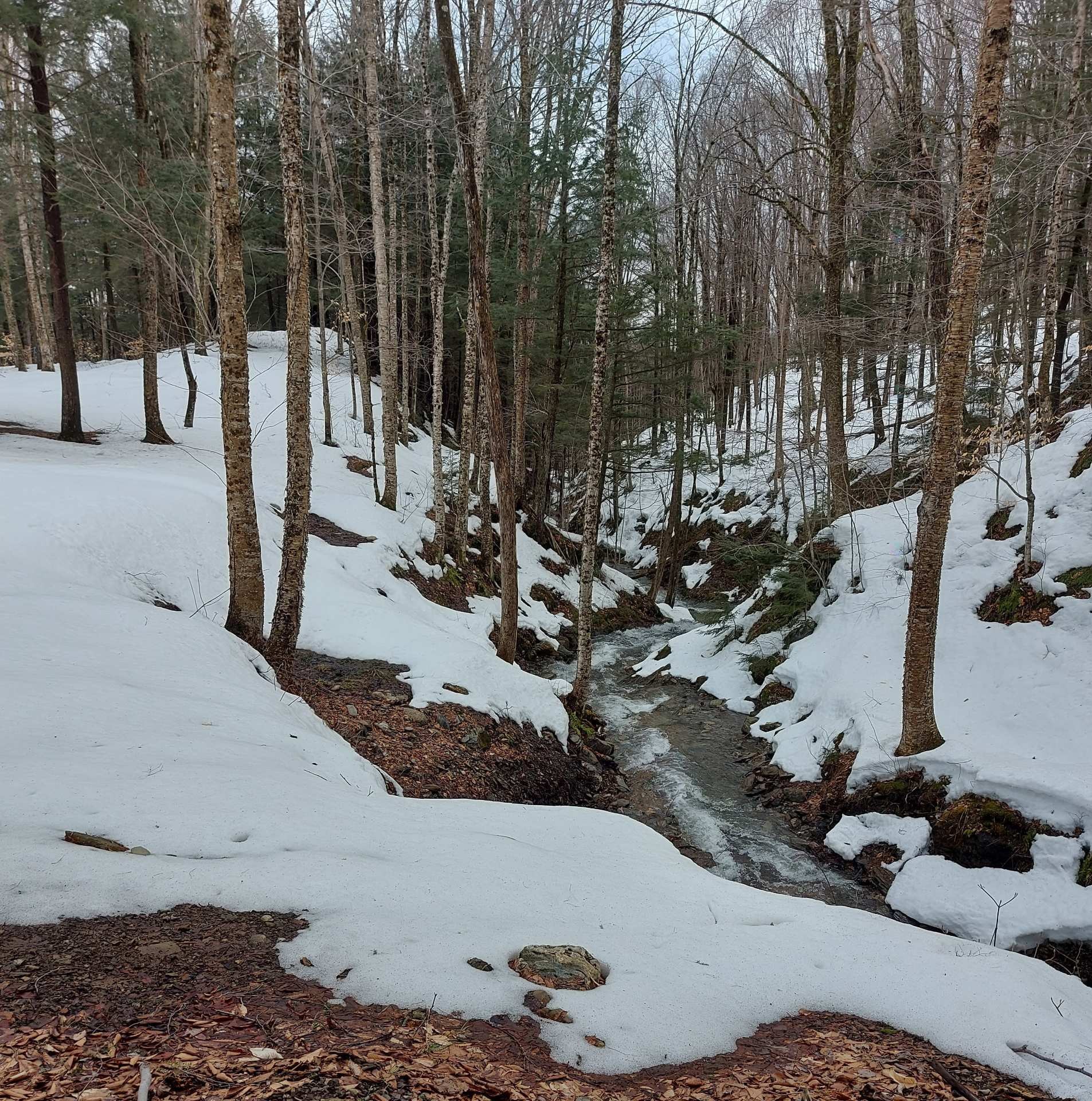 









639A


Route de Mansonville

,
Potton,




QC
J0E1X0

