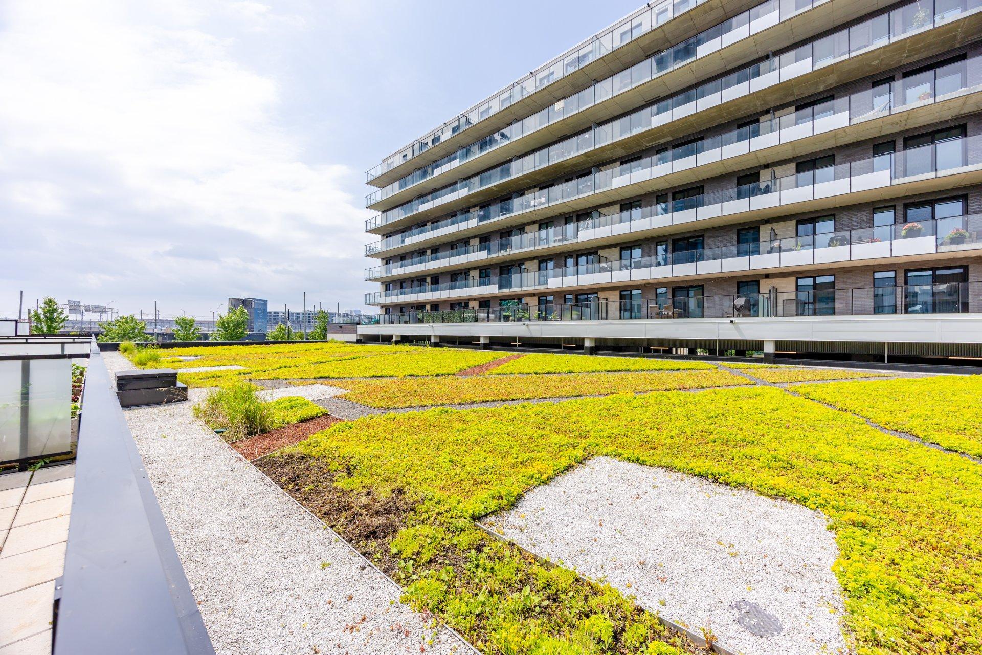 









256


Rue de la Rotonde

,
Montréal (Verdun/Île-des-Soeurs),




QC
H3E0E7

