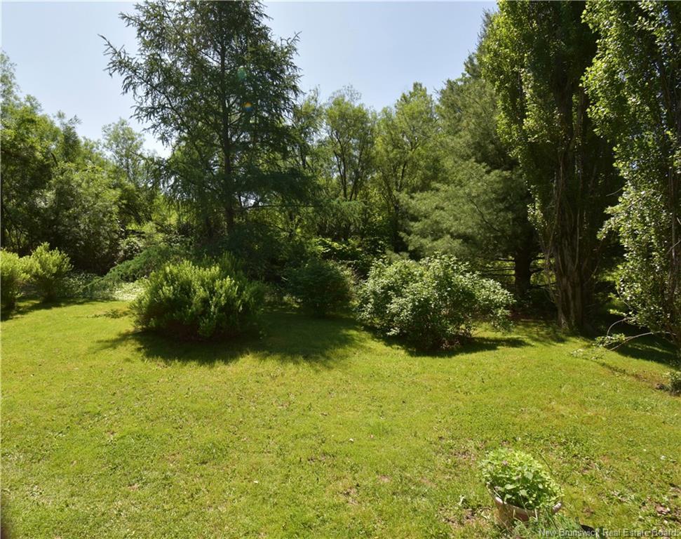 









226


Dumaresq

,
Bathurst,




NB
E2A 1H8

