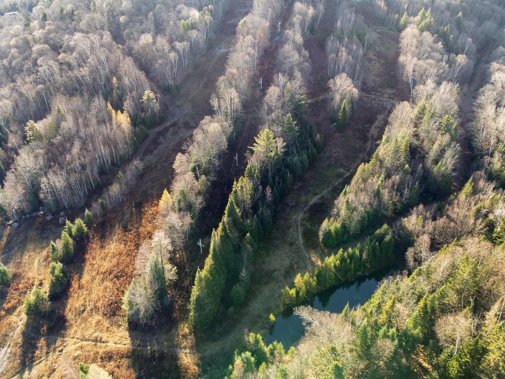 









1095


2e Avenue

,
Val-Morin,




QC
J0T2R0


