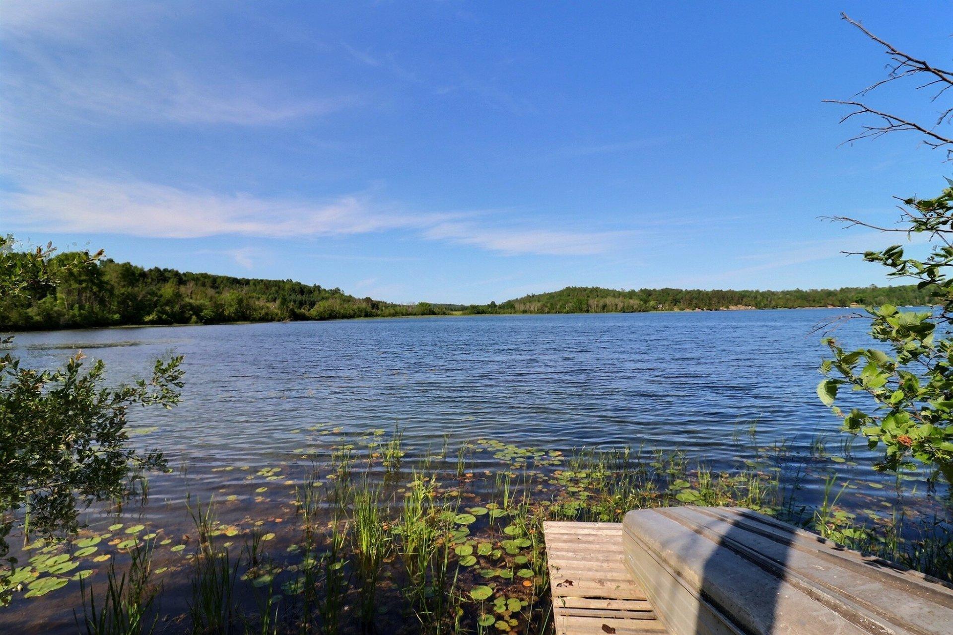 









240


Ch. de Blue Sea

,
Gracefield,




QC
J0X1X0

