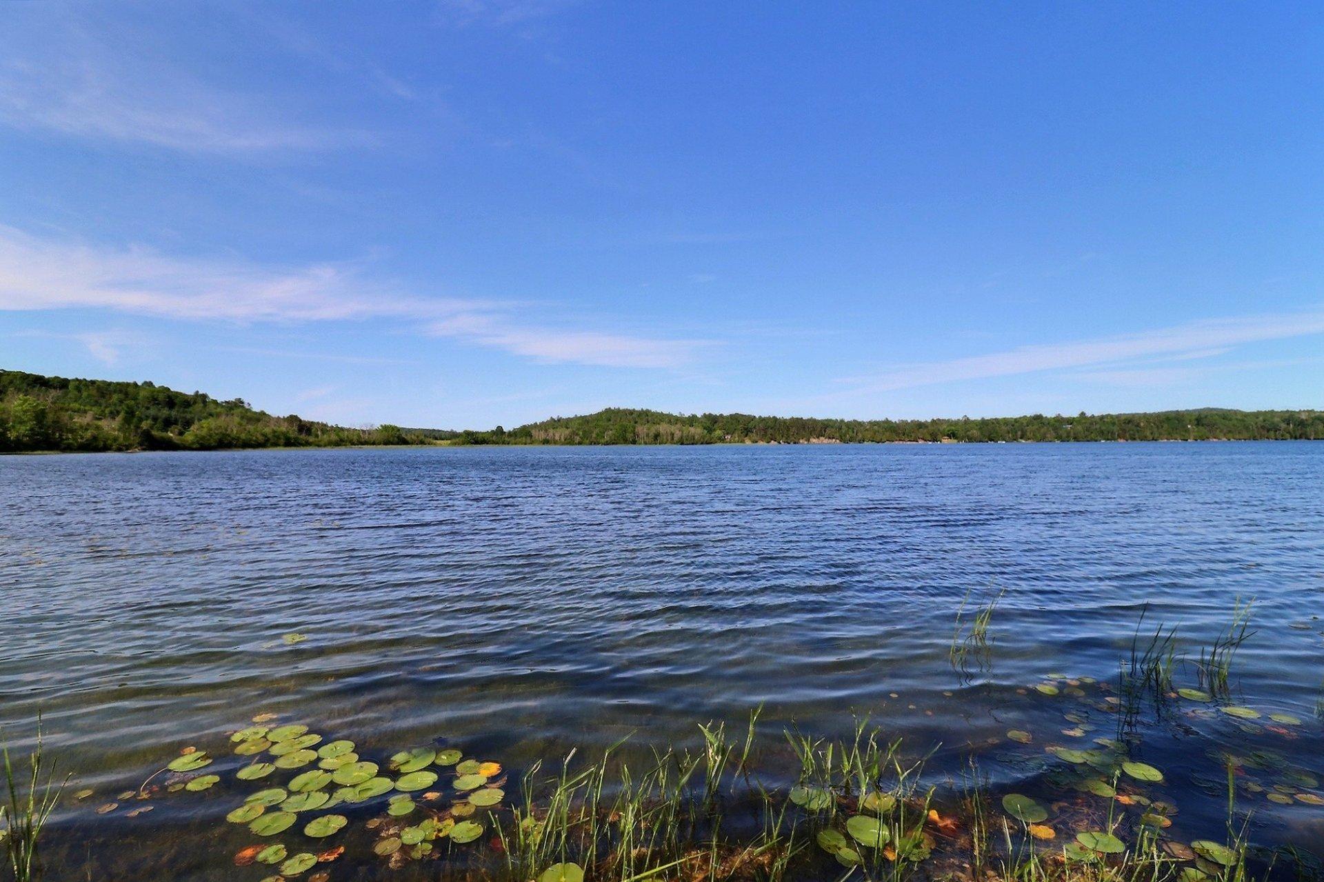 









240


Ch. de Blue Sea

,
Gracefield,




QC
J0X1X0

