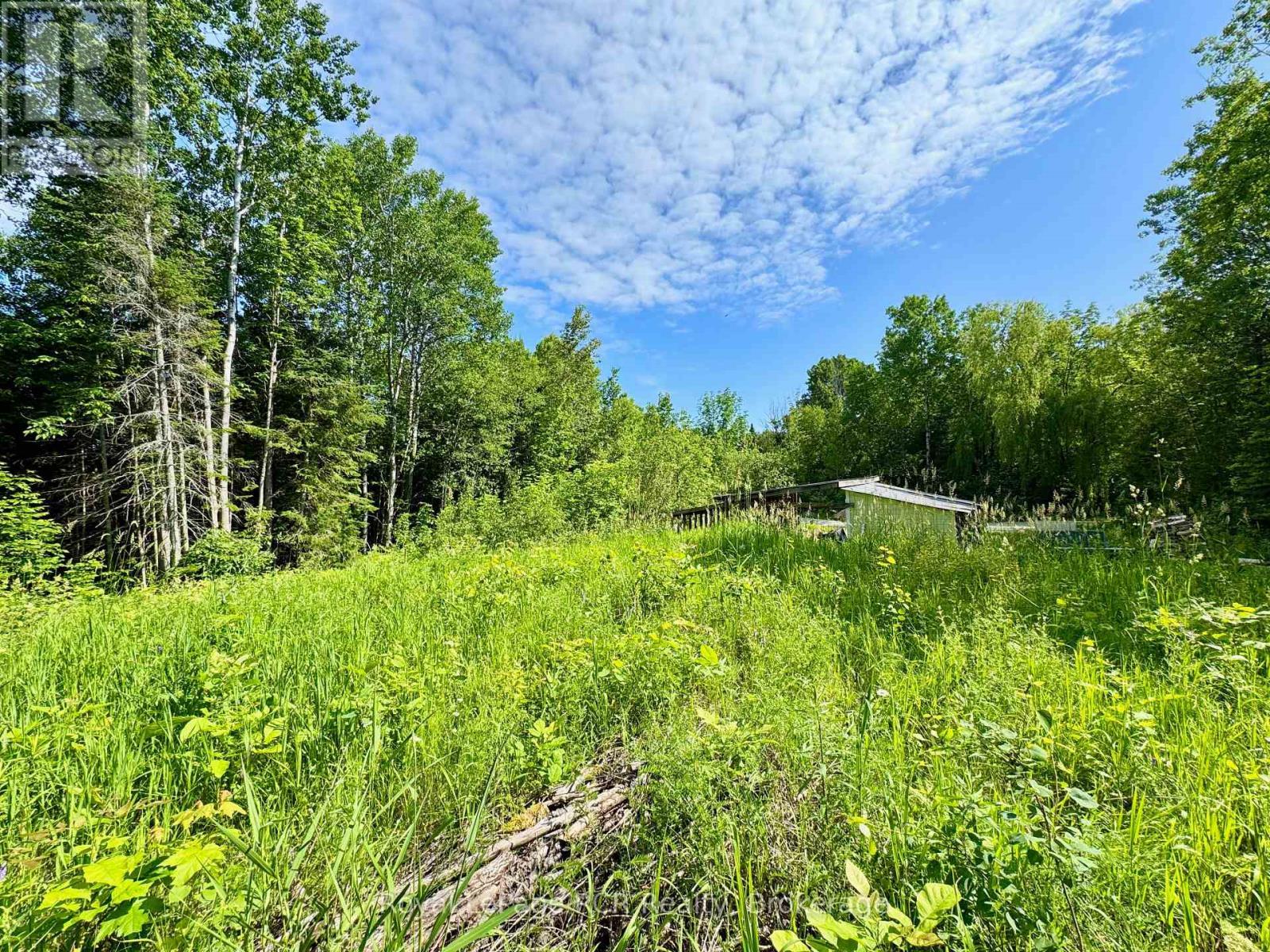 












16 MORNING HILL ROAD

,
South Bruce Peninsula,







Ontario
N0H2T0

