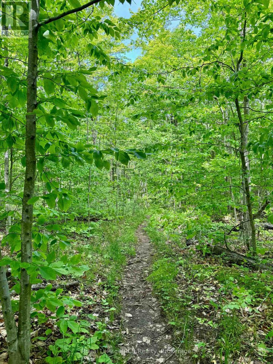 












16 MORNING HILL ROAD

,
South Bruce Peninsula,







Ontario
N0H2T0

