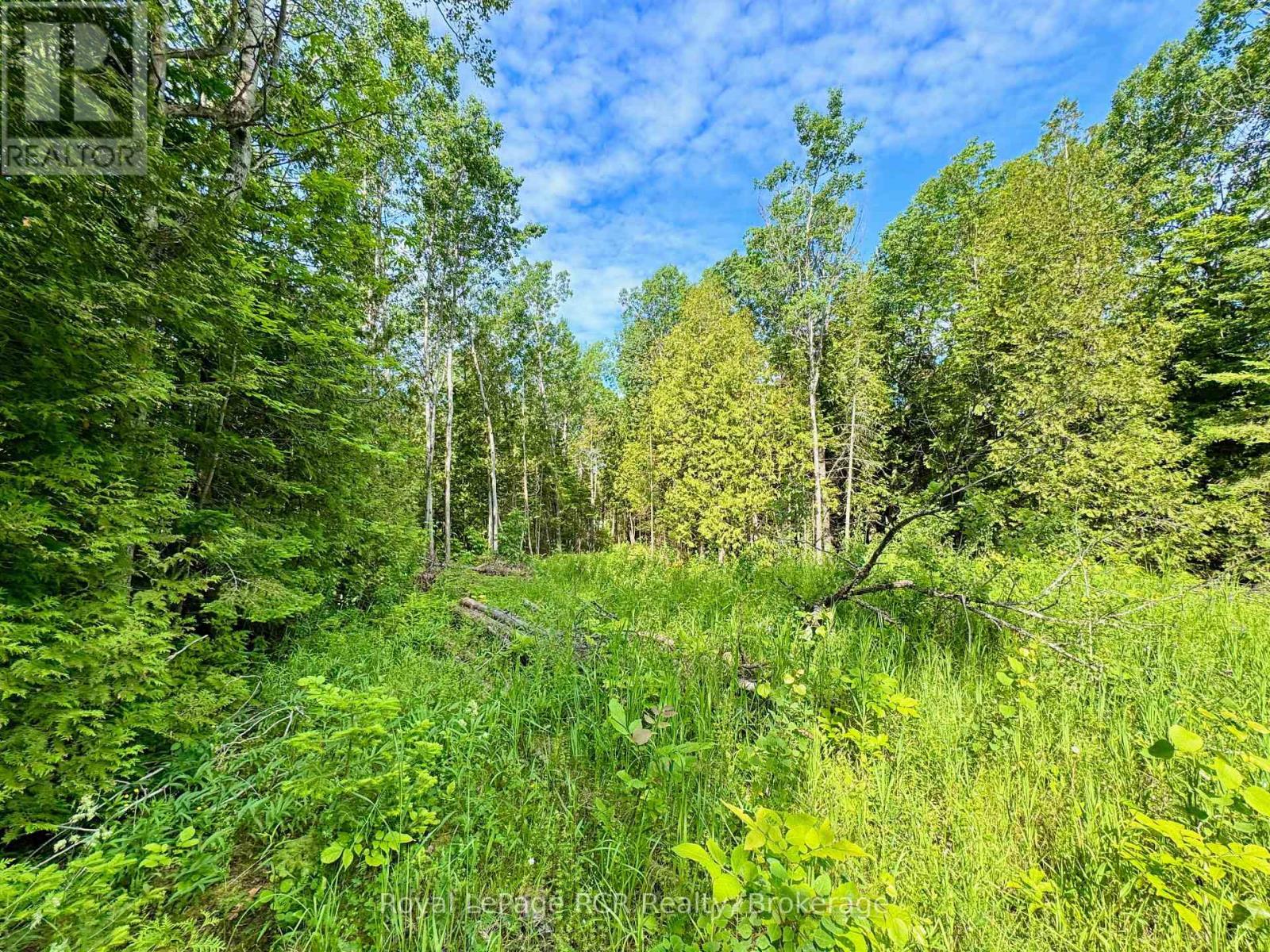 












16 MORNING HILL ROAD

,
South Bruce Peninsula,







Ontario
N0H2T0

