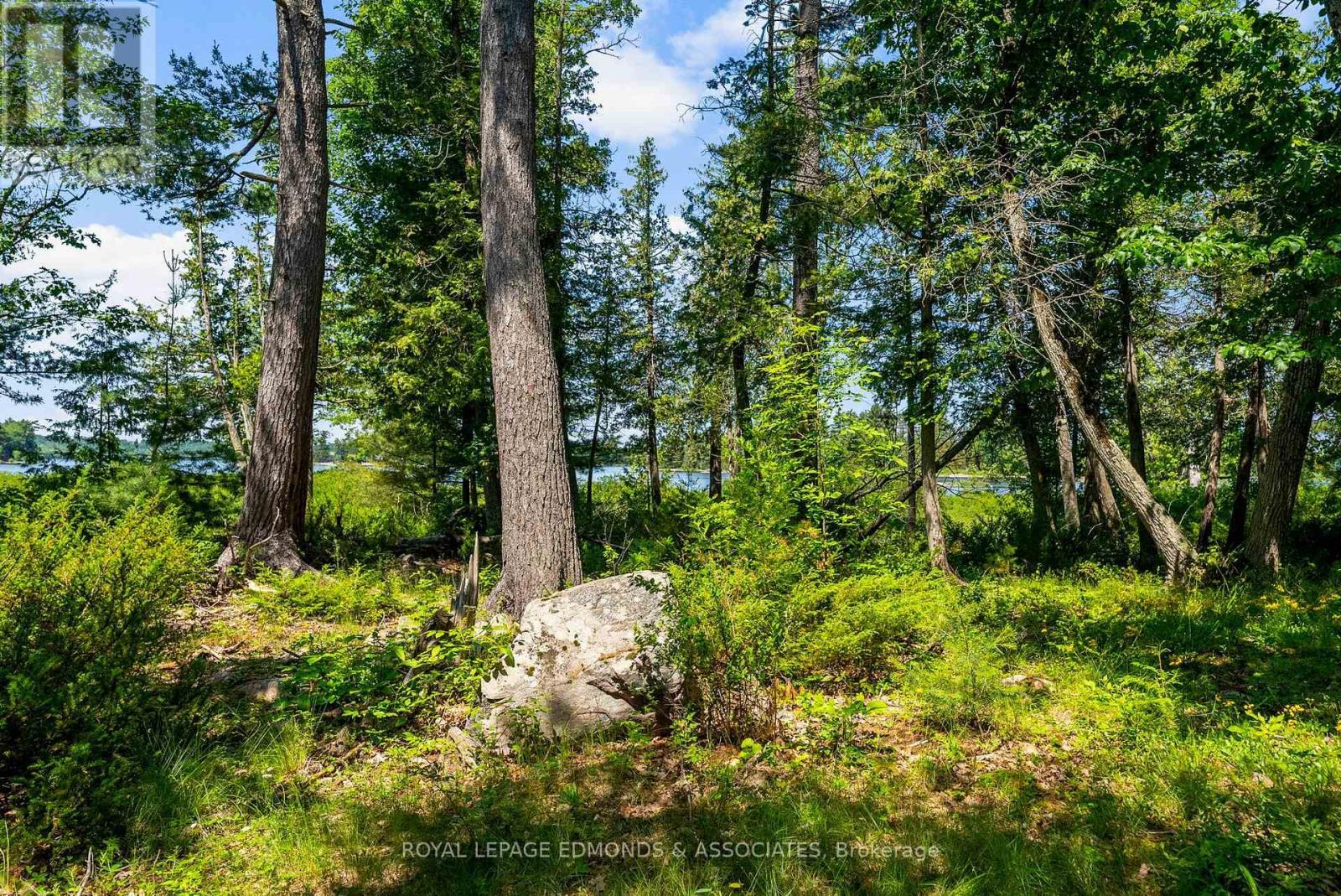 












0 RIDDELL ISLAND

,
Petawawa,




Ontario
K8H3R2

