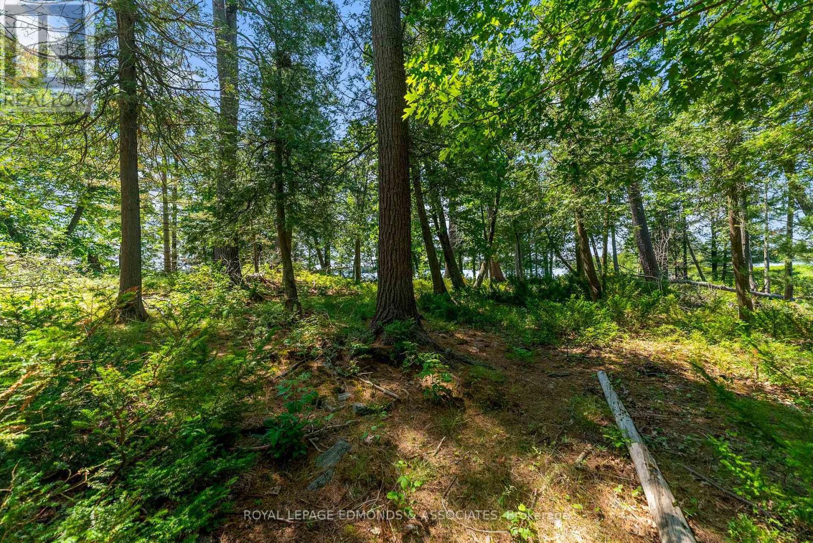 












0 RIDDELL ISLAND

,
Petawawa,




Ontario
K8H3R2


