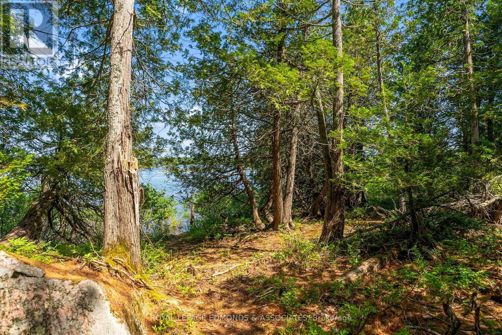 












0 RIDDELL ISLAND

,
Petawawa,




Ontario
K8H3R2

