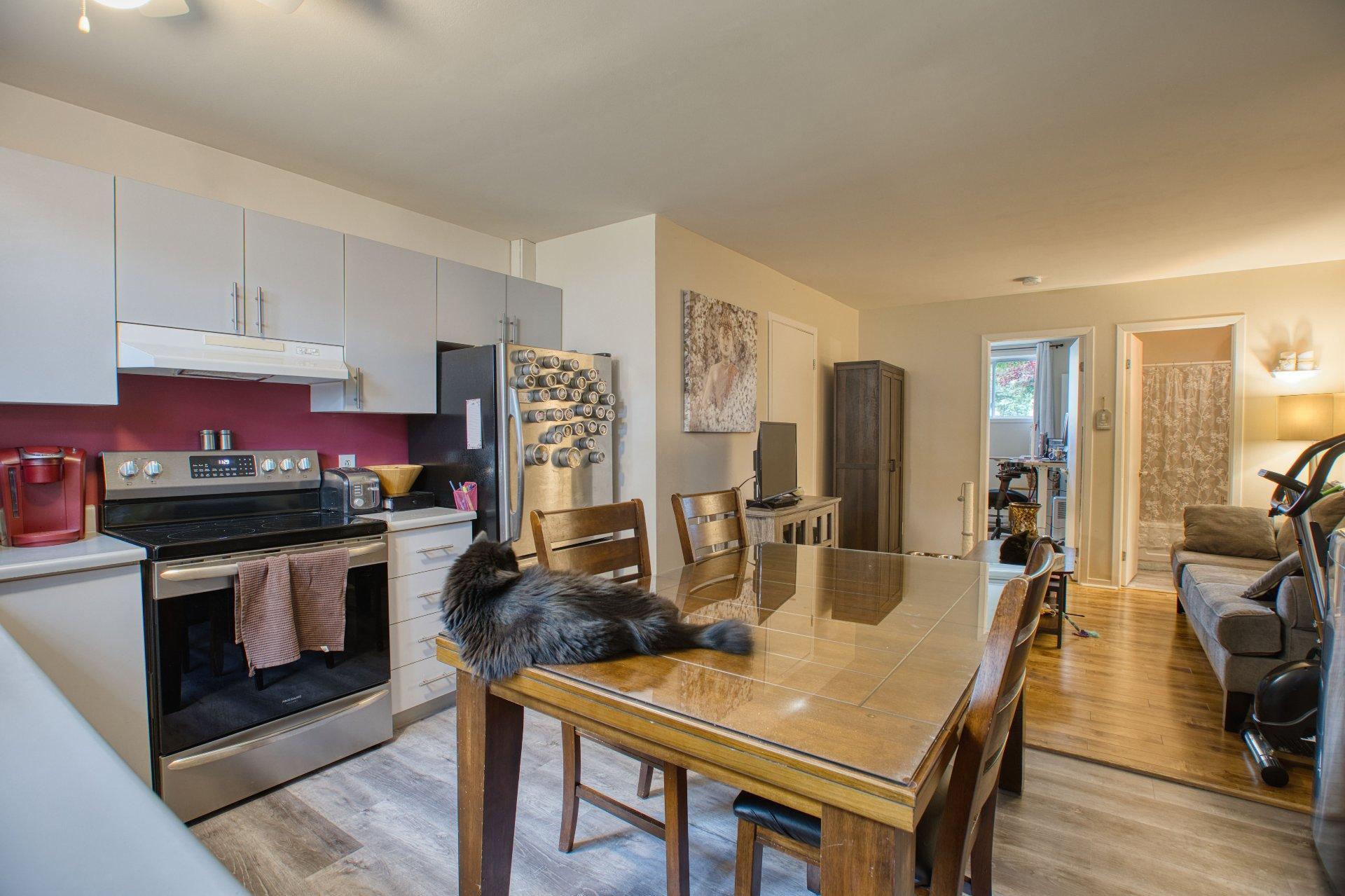 









490

 - 496


Av. du Parc

,
Saint-Jérôme,




QC
J7Z6R5


