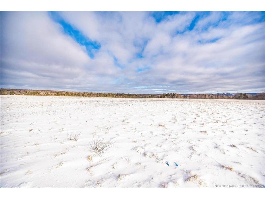 









326


La Vallee

,
Memramcook,




NB
E4K 3E3


