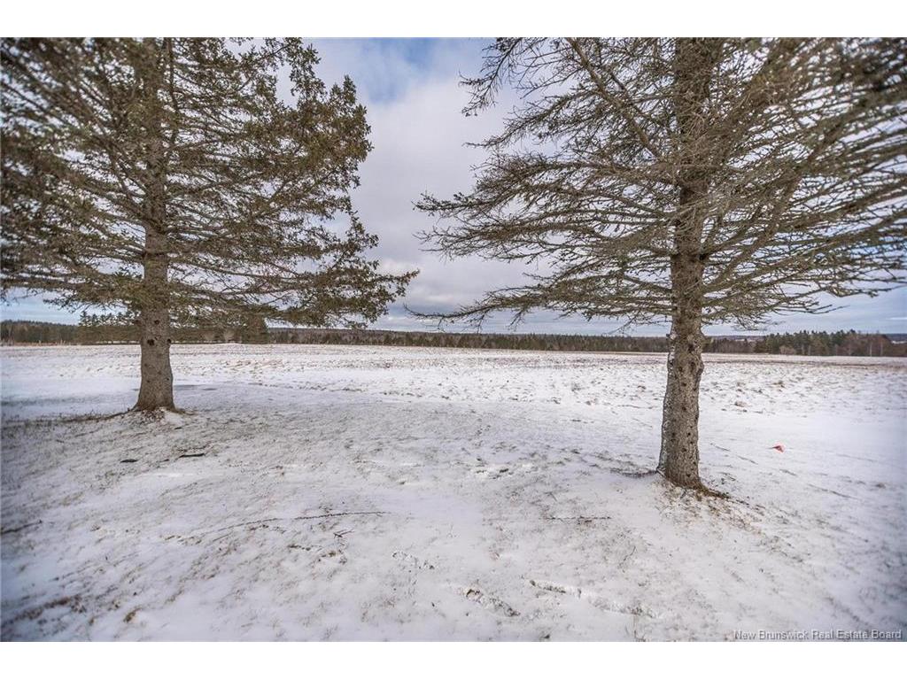 









326


La Vallee

,
Memramcook,




NB
E4K 3E3

