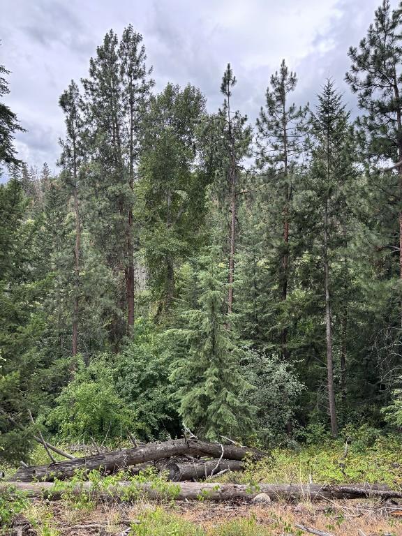 












Glencoe

Road,
West Kelowna,







BC
V4T 1L9

