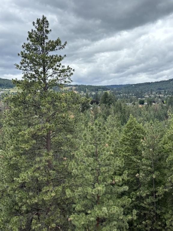 












Glencoe

Road,
West Kelowna,







BC
V4T 1L9

