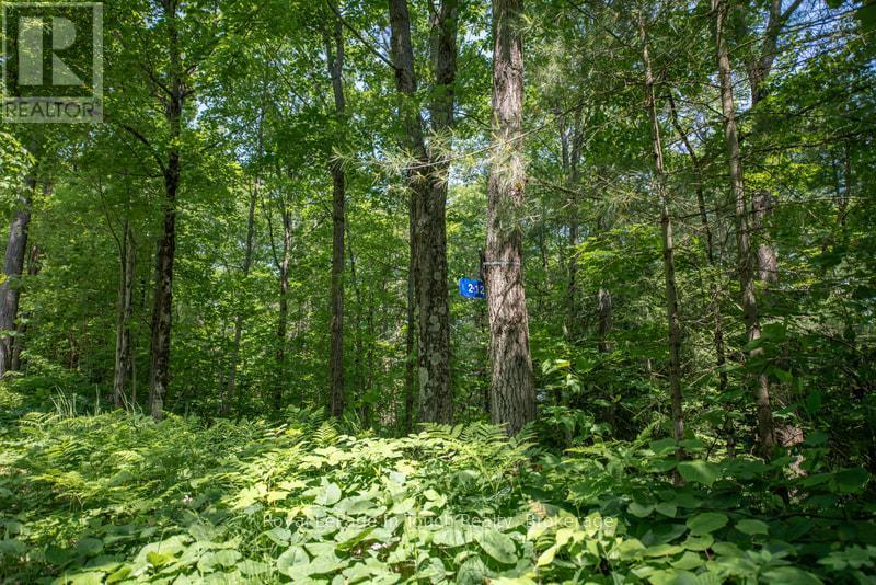 












212 WILD RICE TRAIL SE

,
Georgian Bay (Baxter),




Ontario
L0K1S0

