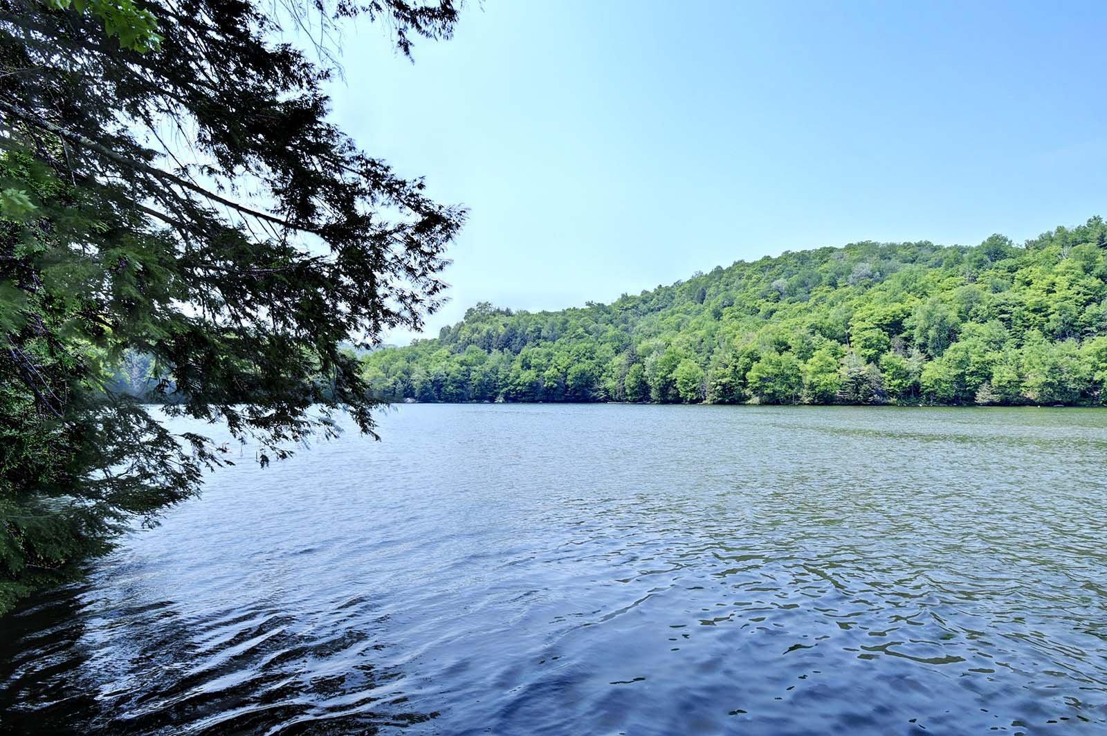 









3590


Lac-des-Écorces

,
Barkmere,




QC
J0T1A0

