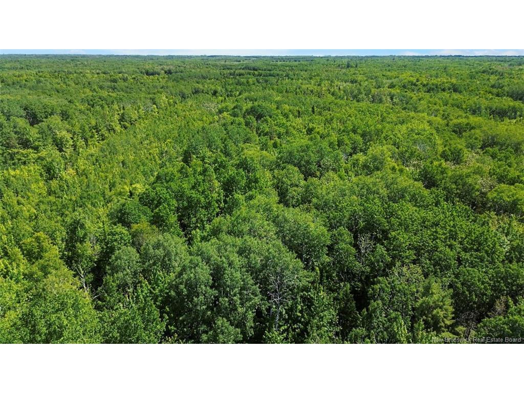 









3342


Route 315

,
Laplante,




NB
E8J 2A8

