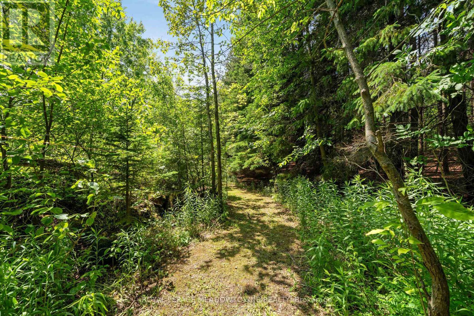 












11636 6TH LINE NASSAGAWEYA

,
Milton,







Ontario
L7J2L7

