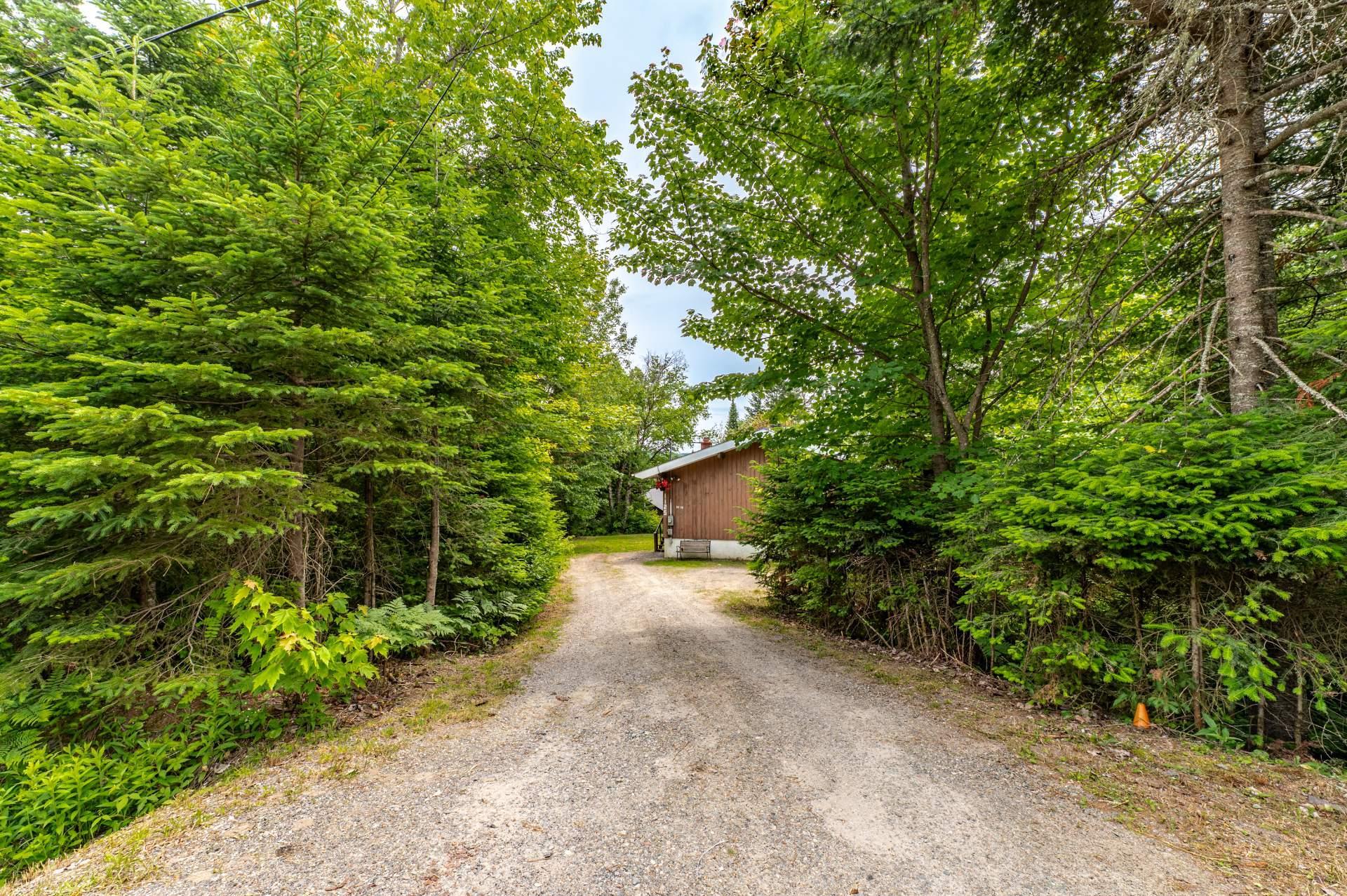 









1125


Ch. du Mont-Arpin

,
Sainte-Agathe-des-Monts,




QC
J8C0N1

