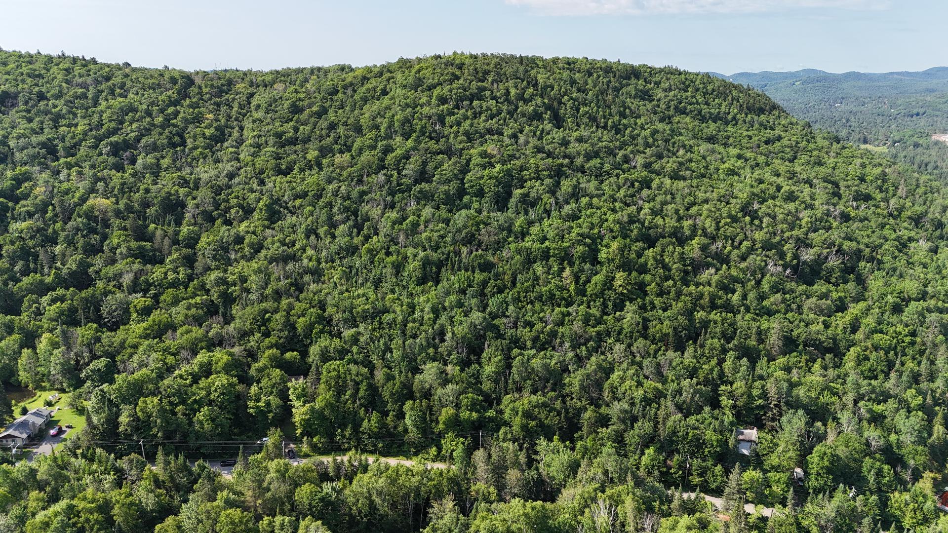 












Mtée Gagnon

,
Val-David,







QC
J0T2N0

