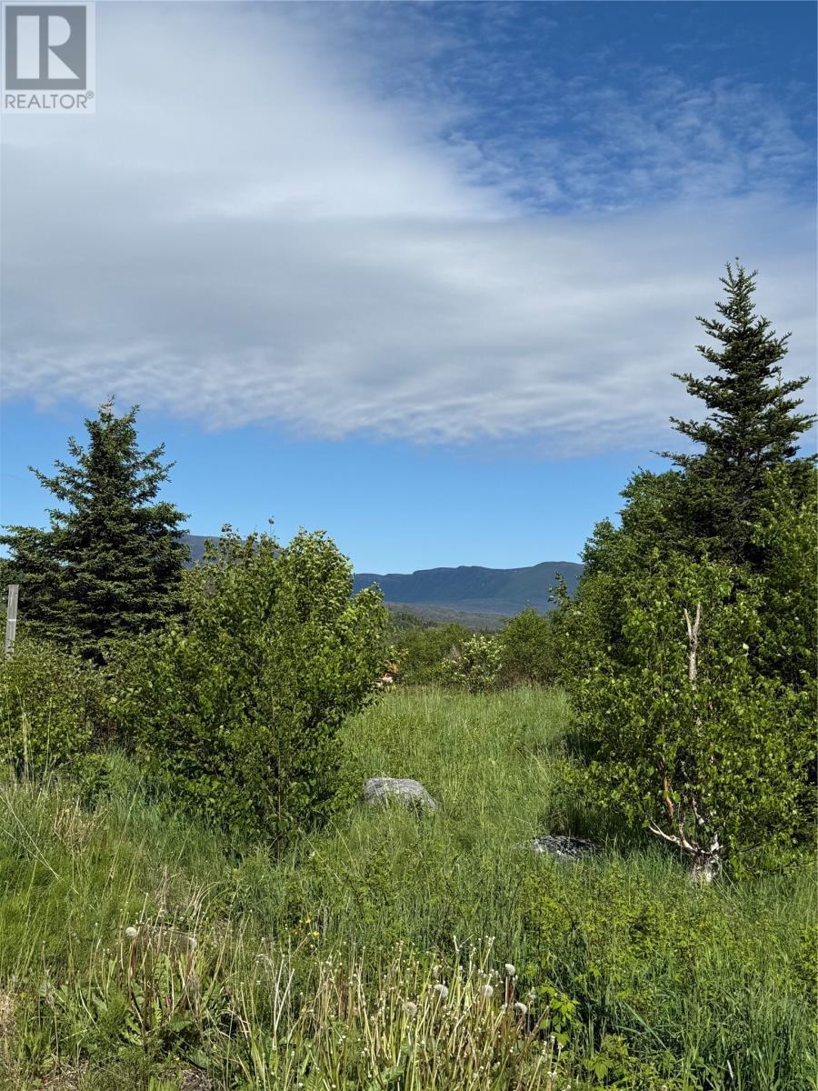 












111 Pond Road

,
Rocky Harbour,







Newfoundland & Labrador
A0K4N0

