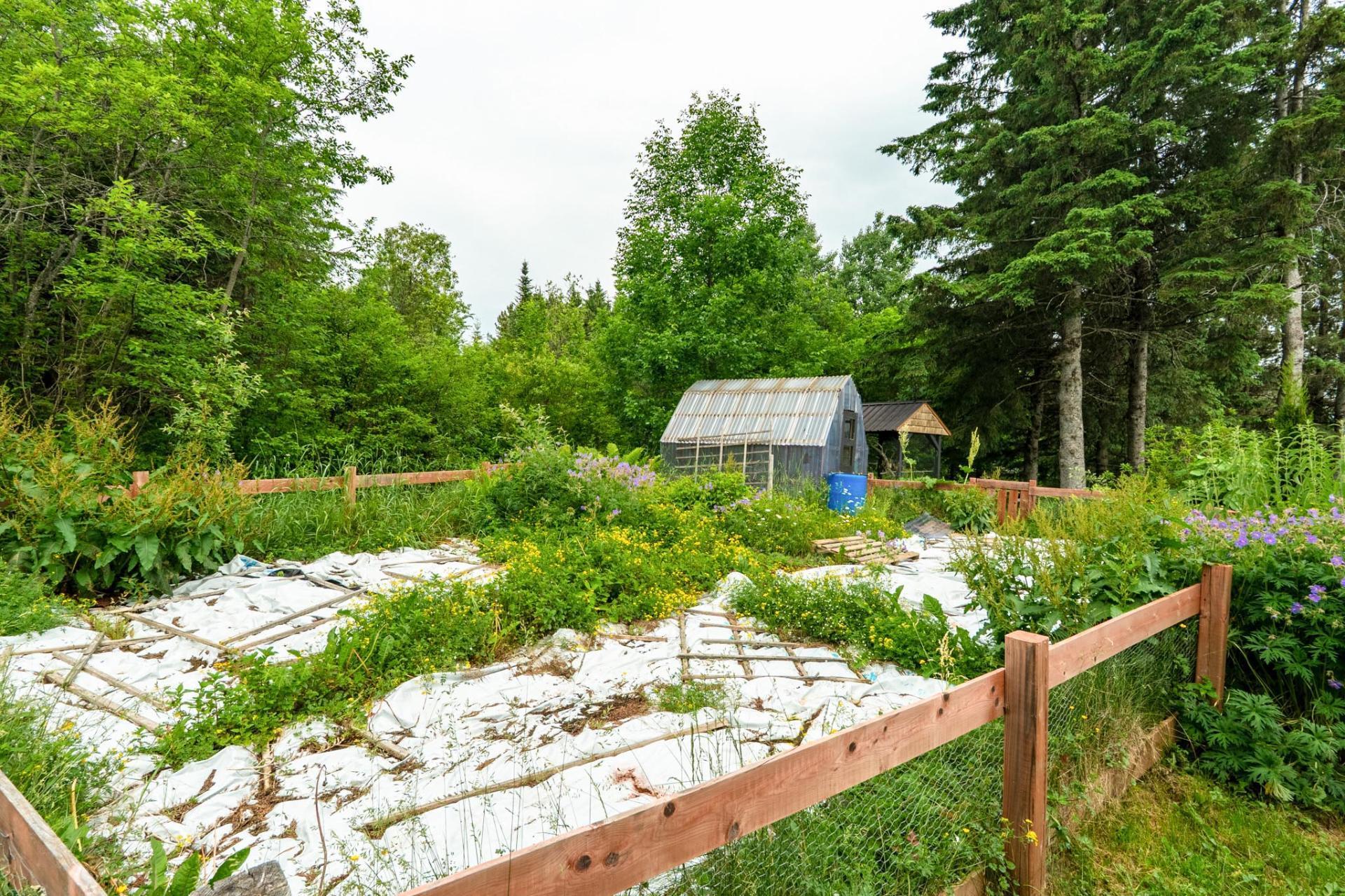 









59


Rue St-Pierre

,
La Patrie,




QC
J0B1Y0

