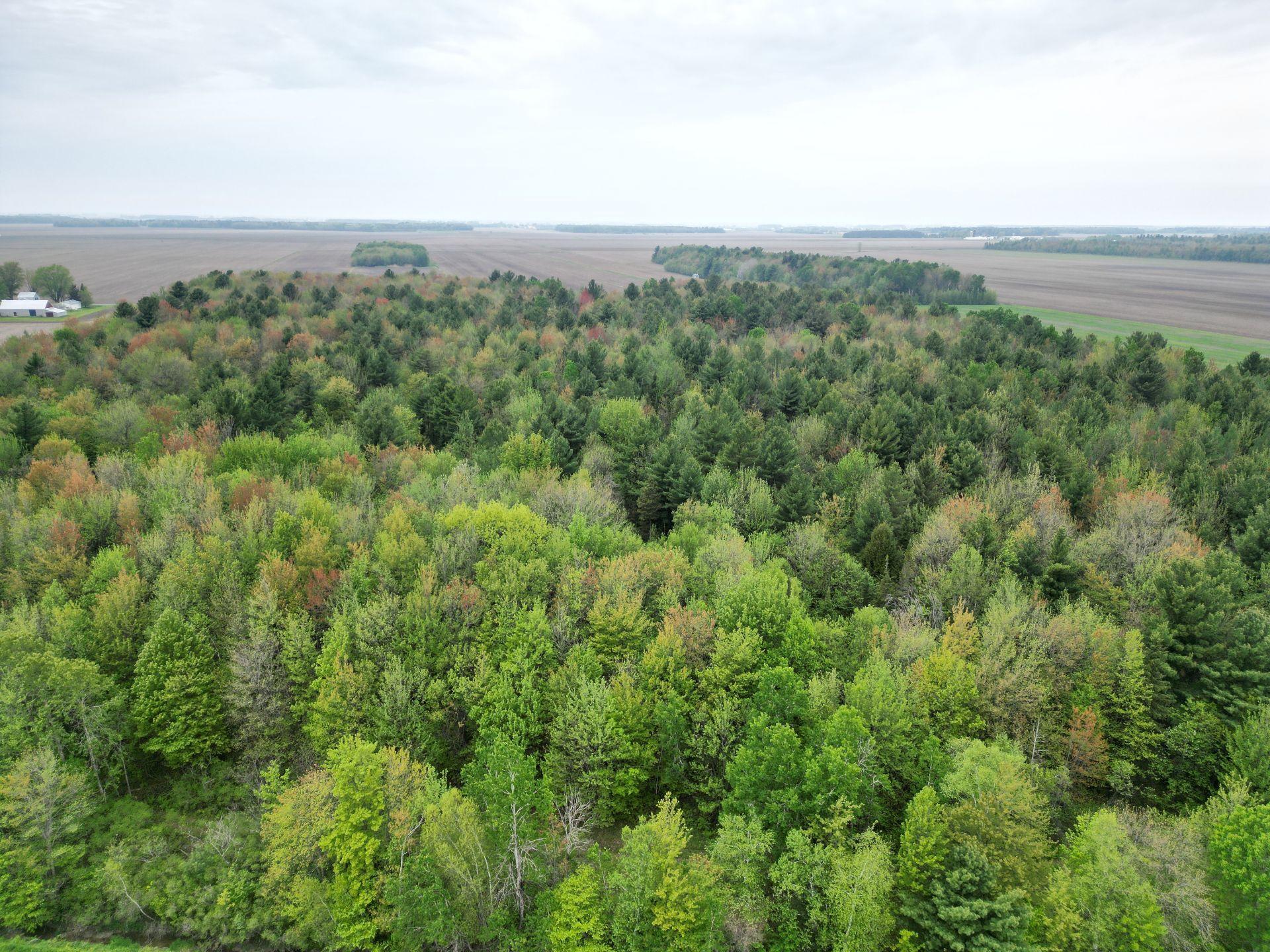 









495Z


Rg Ste-Cécile

,
Saint-David,







QC
J0G1L0


