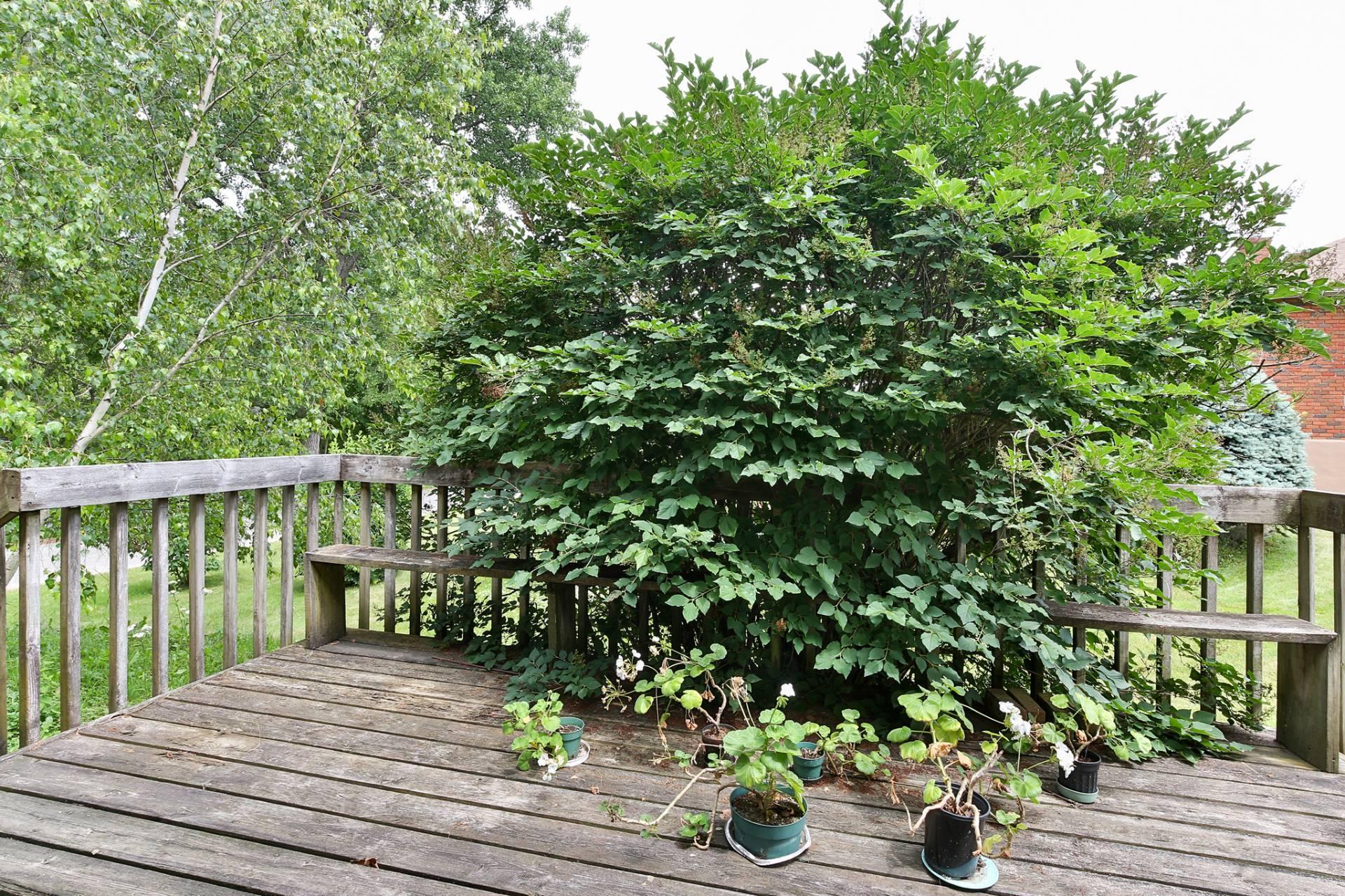 









7


Rue Riverside 

,
Stanbridge East,




QC
J0J2H0

