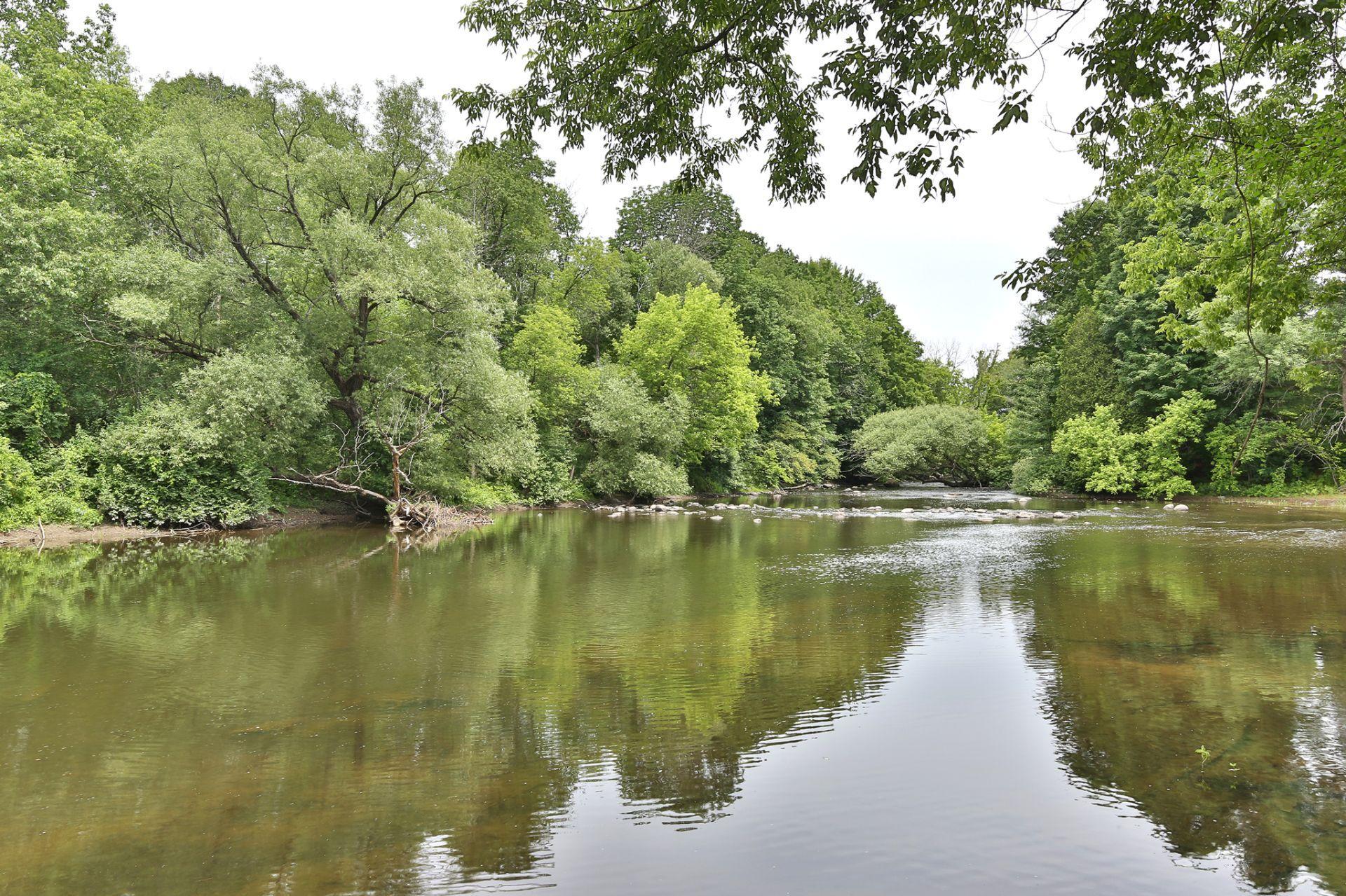 









7


Rue Riverside 

,
Stanbridge East,




QC
J0J2H0


