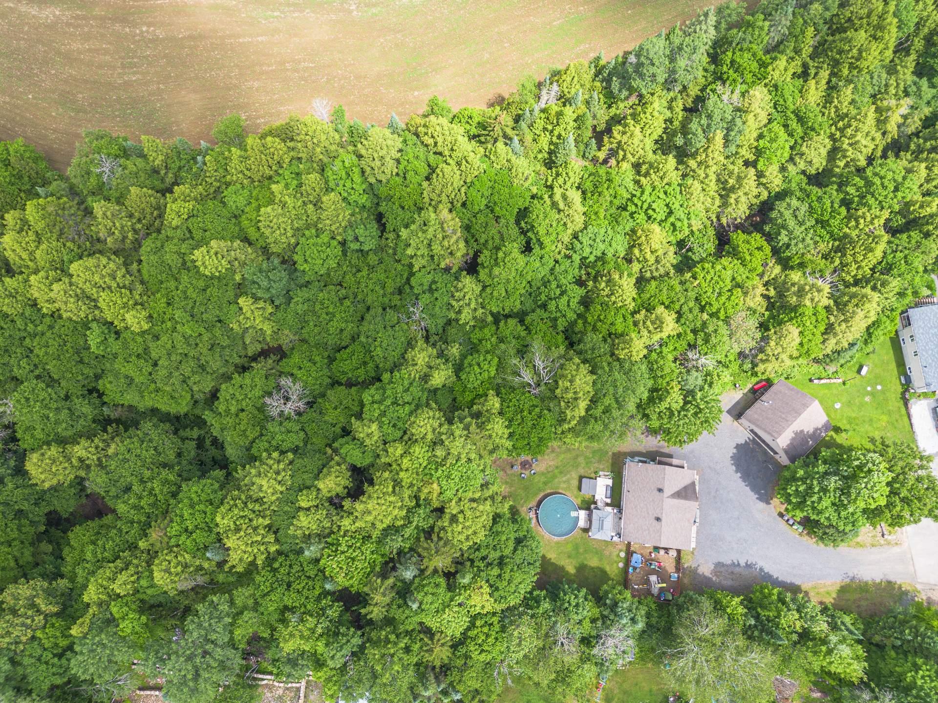 









60


Place Romaric

,
Brébeuf,




QC
J0T1B0

