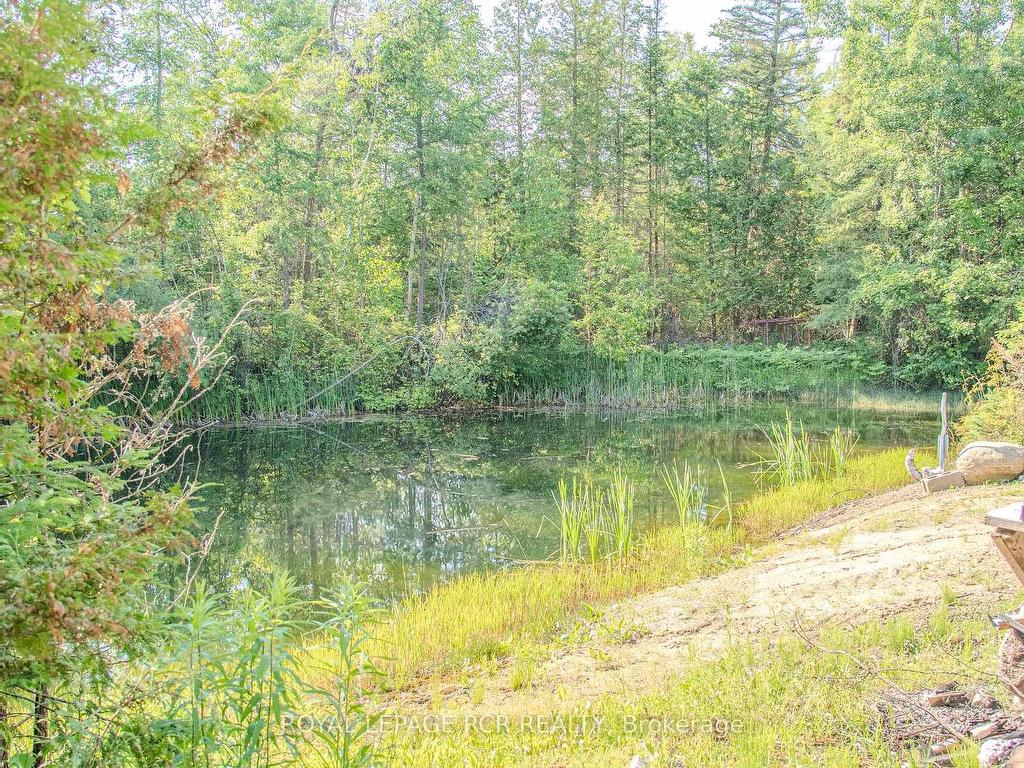 









9


Lytle

Lane,
Kawartha Lakes,




ON
K0M 2B0

